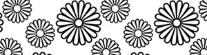 菊/きく